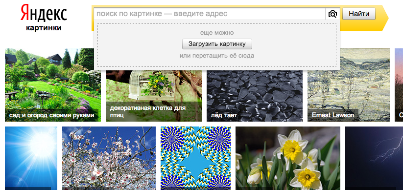 Найти изображение по фото. Визуальный поиск по картинкам. Искать по картинке. Поиск по картинке Яндекс. Поиск по фото Яндекс.